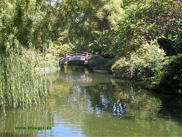 Ruhe: Entstanden 1998 in Dallas/Texas. Das Bild beschreibt eine Ruhe inmitten der Millionenstadt Dallas. Eine Oase ist der leider nicht leicht zu findende Japanische Garten.
