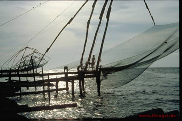 Fisch: Fischernetze bei Cochin, Südliches Indien
November 1984 
