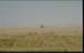 hyperlink to desert